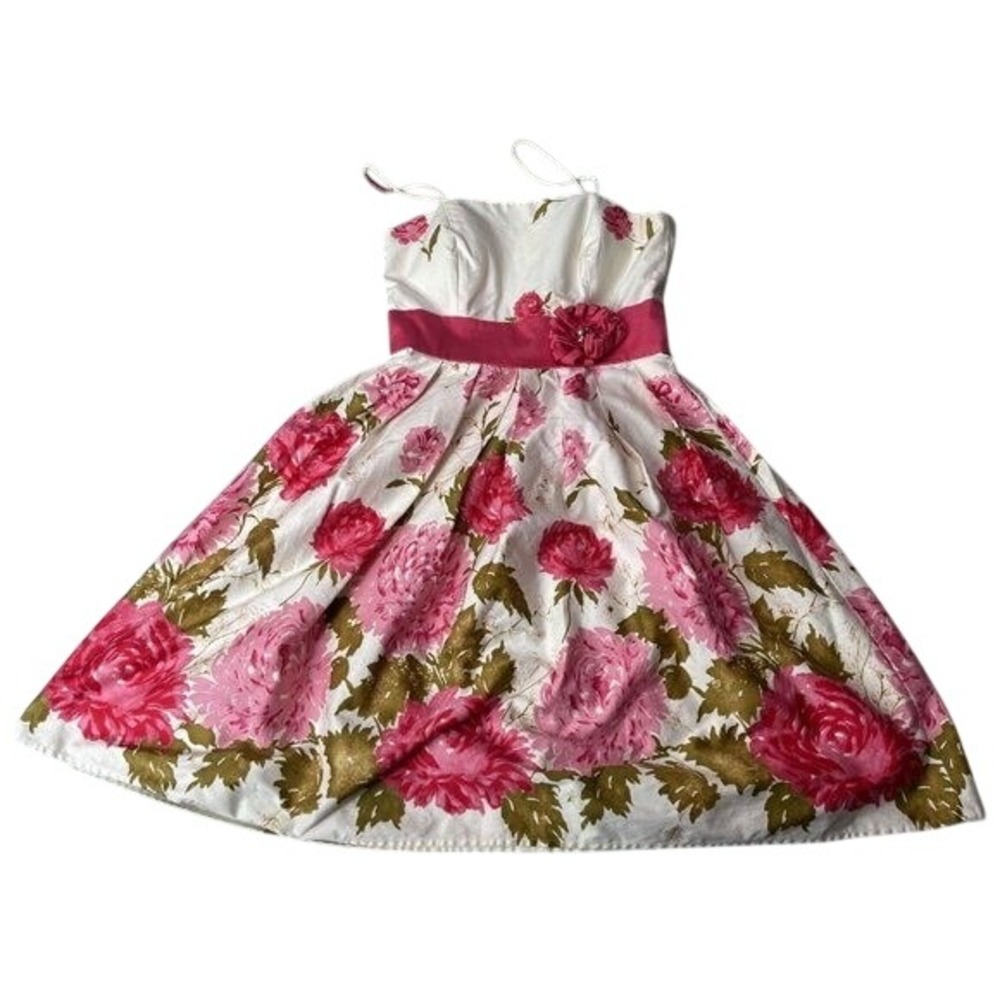 J Howard Women Floral Print Pink Ribbon Flower‎ Accent Fit Flare Dress Size 6P